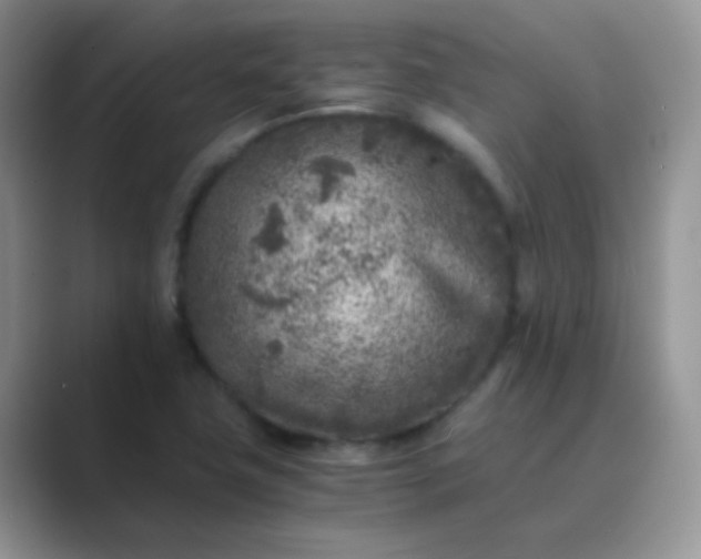 X0000089711411200707051653