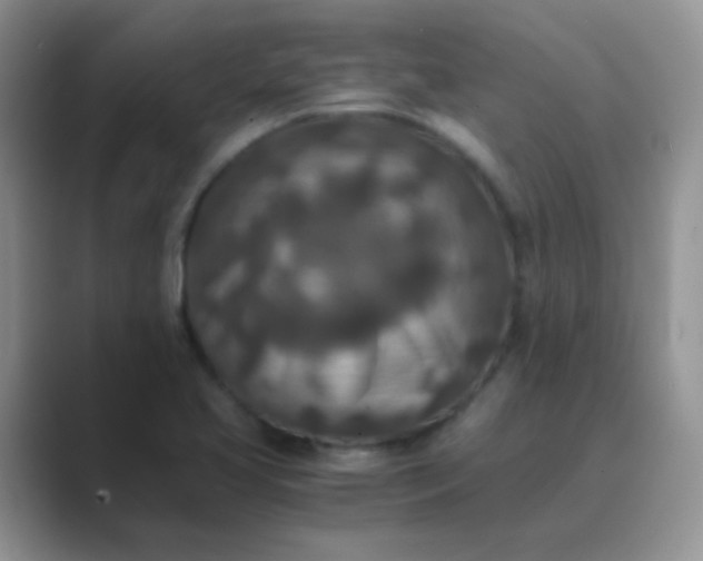 X0000089711413200707051653