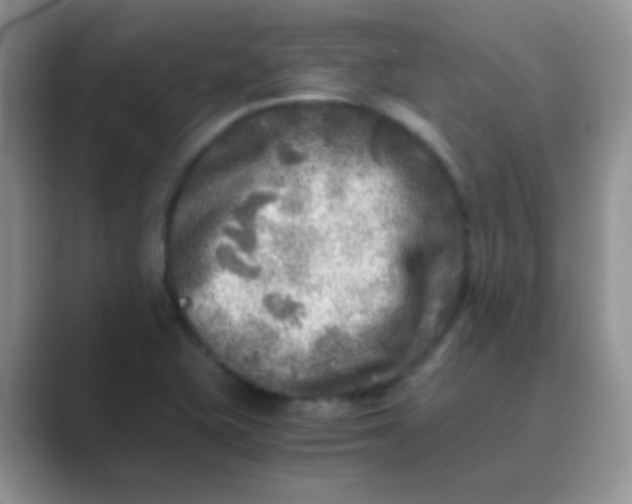 X0000089711415200707051653