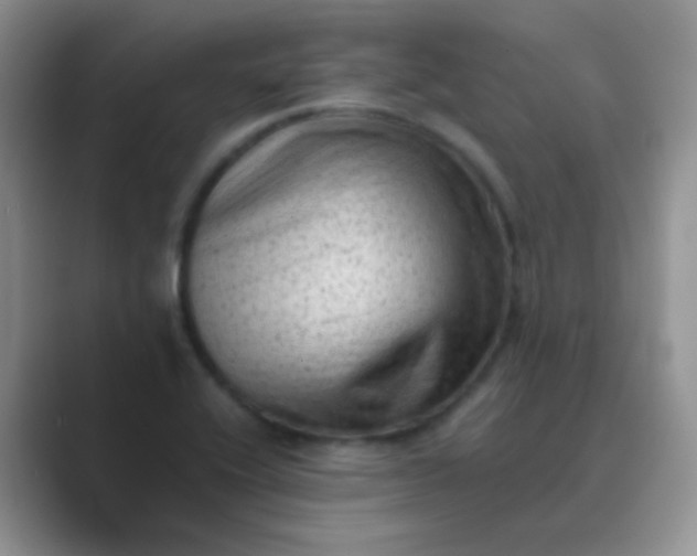 X0000089711416200707051653