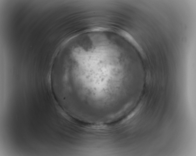 X0000089711417200707051653