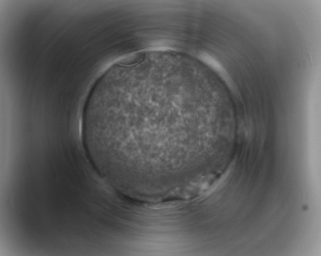 X0000089711419200707051653