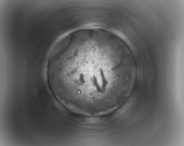 X0000089711421200707051653