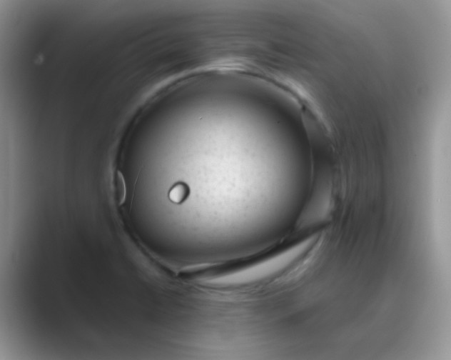 X0000089711422200707051653