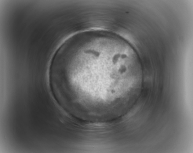 X0000089711423200707051653