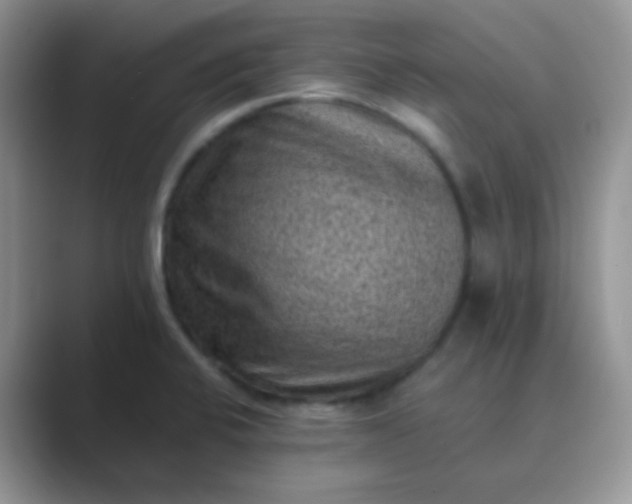 X0000089711424200707051653