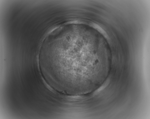 X0000089711425200707051653