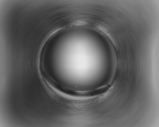 X0000089711426200707051653