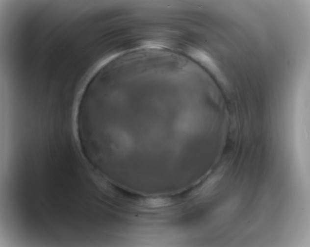 X0000089711427200707051653