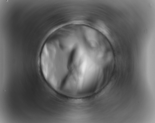 X0000089711428200707051653