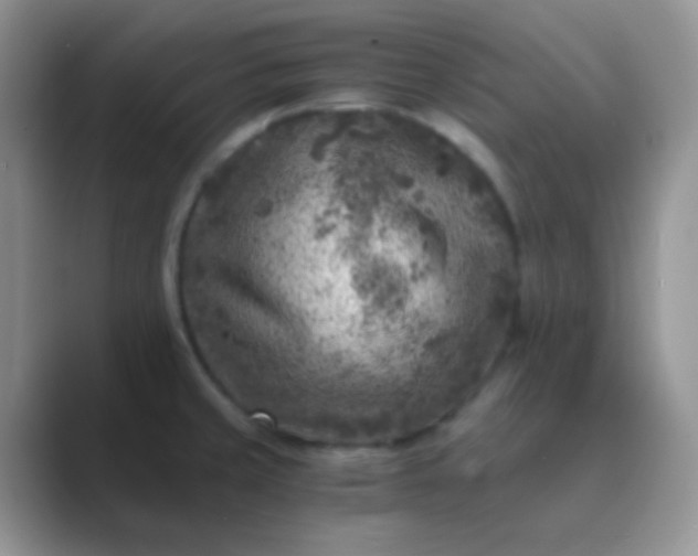 X0000089711429200707051653