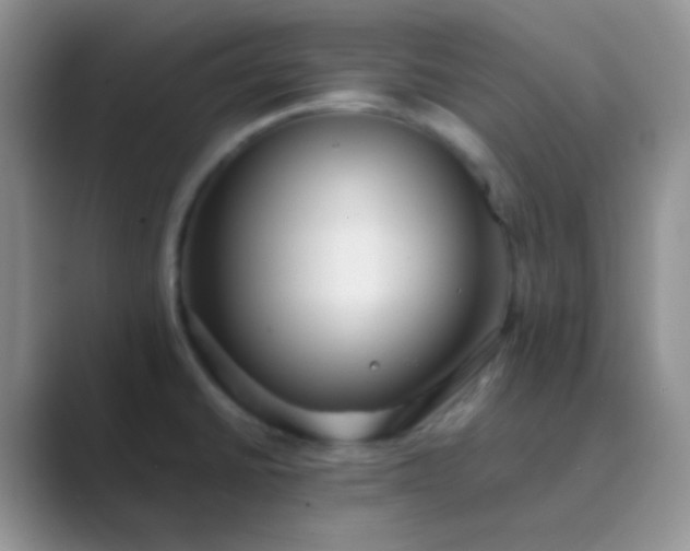 X0000089711430200707051653