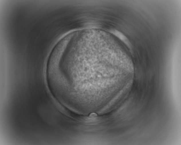 X0000089711431200707051653