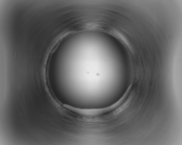 X0000089711434200707051653