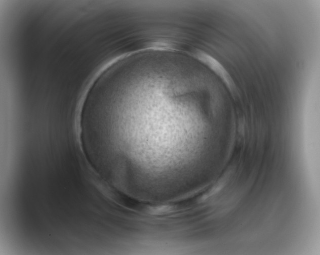 X0000089711435200707051653