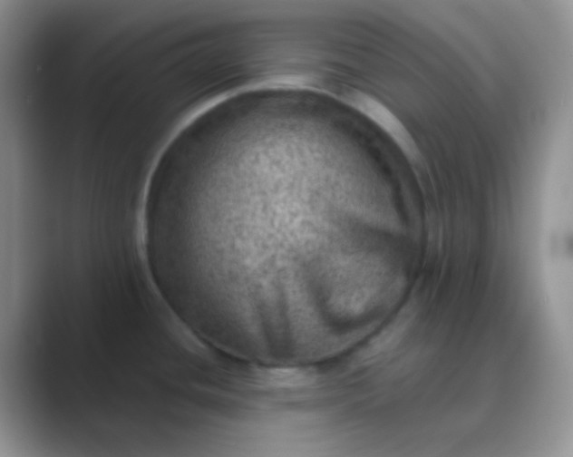 X0000089711436200707051653