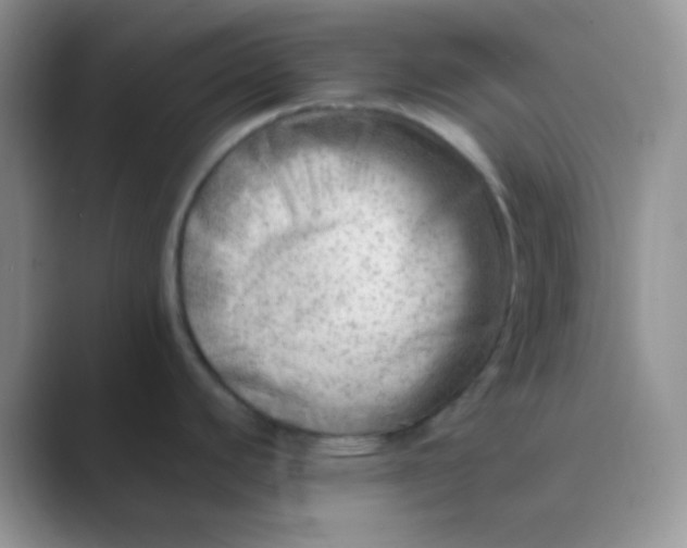 X0000089711440200707051653