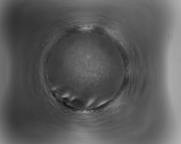 X0000089711441200707051653