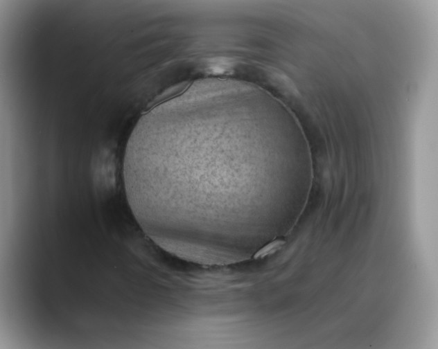 X0000089711442200707051653