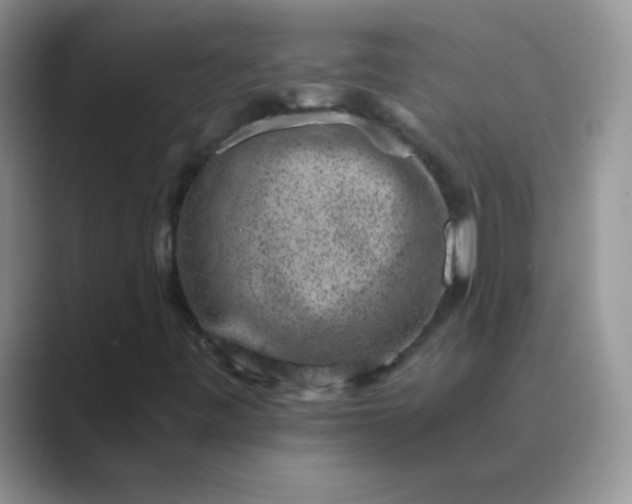 X0000089711443200707051653