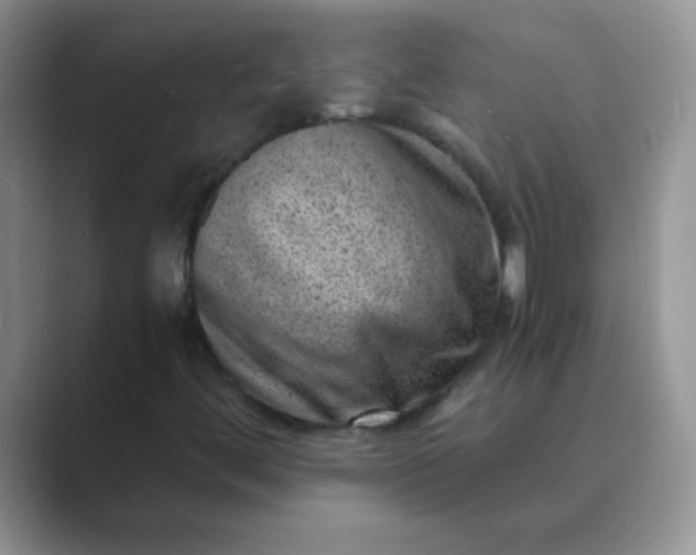 X0000089711444200707051653