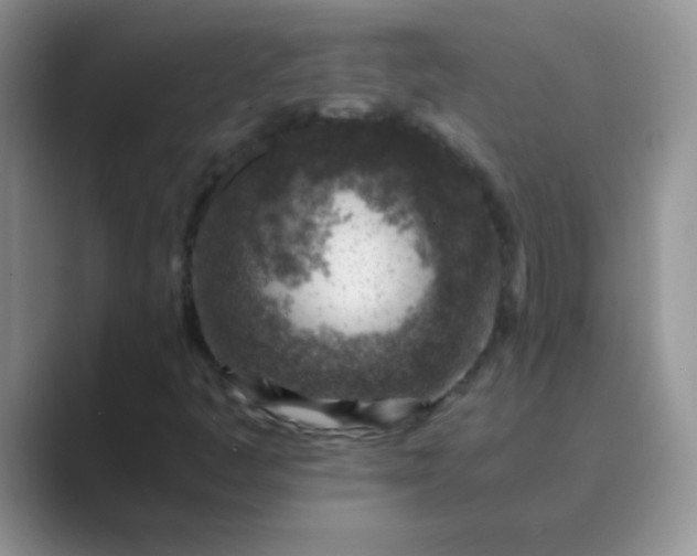 X0000089711445200707051653