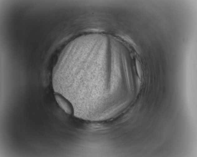 X0000089711448200707051653