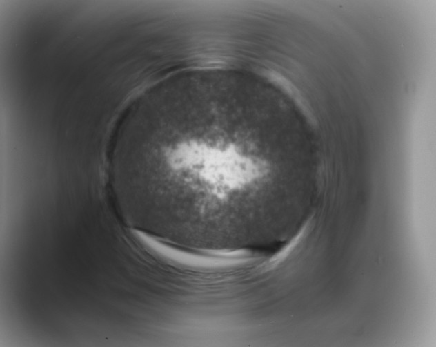 X0000089711449200707051653