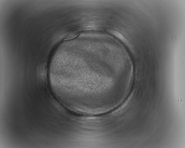 X0000089711450200707051653