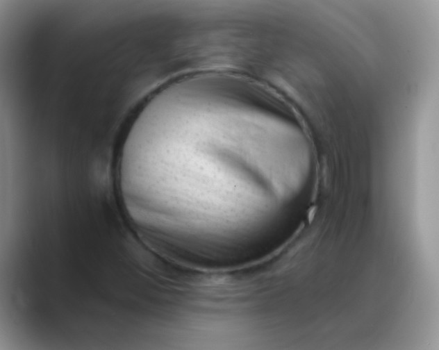 X0000089711452200707051653