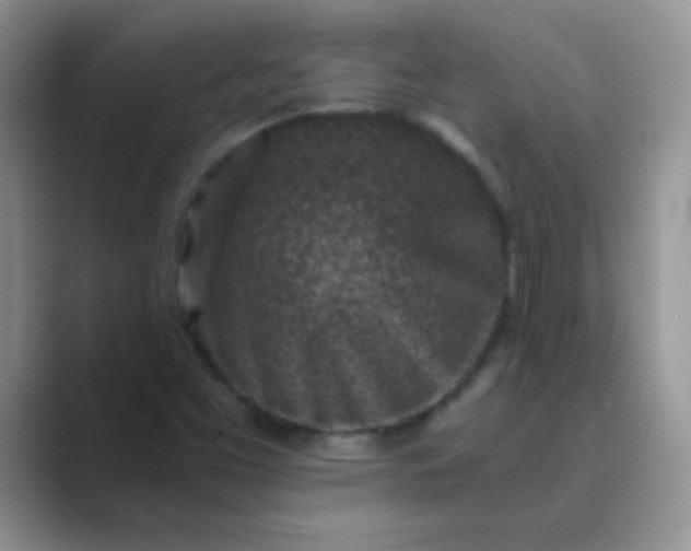 X0000089711453200707051653