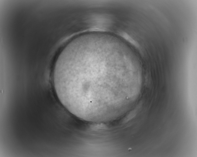 X0000089711454200707051653