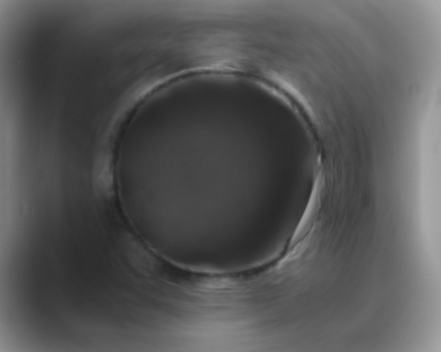 X0000089711455200707051653