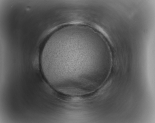 X0000089711456200707051653