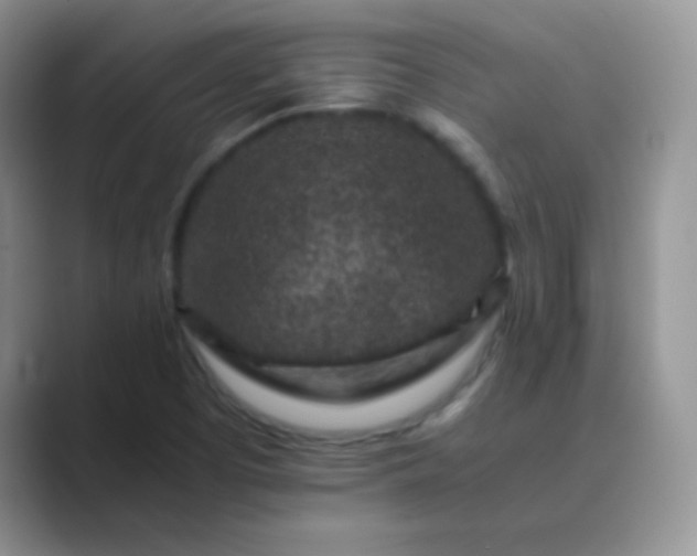 X0000089711457200707051653