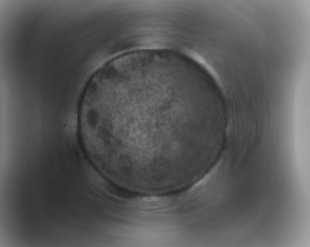 X0000089711459200707051653