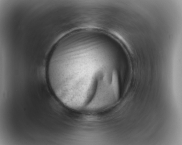 X0000089711460200707051653