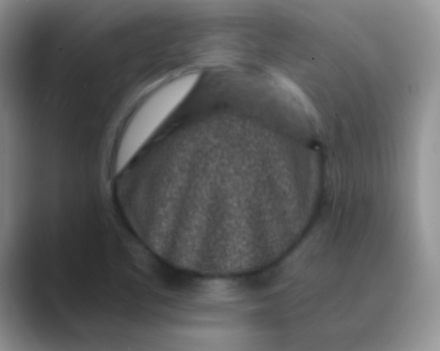 X0000089711461200707051653