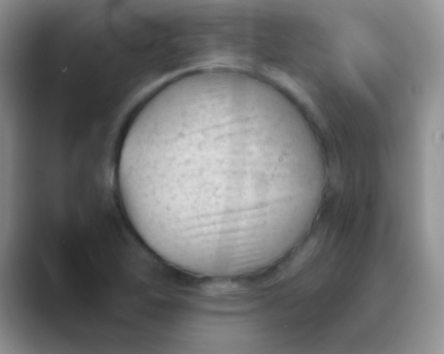 X0000089711462200707051653