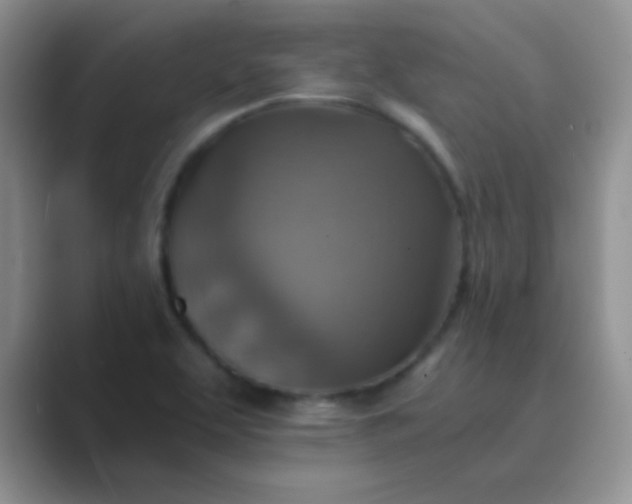 X0000089711463200707051653