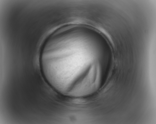 X0000089711464200707051653