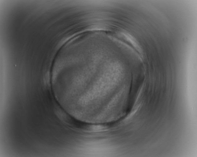 X0000089711465200707051653