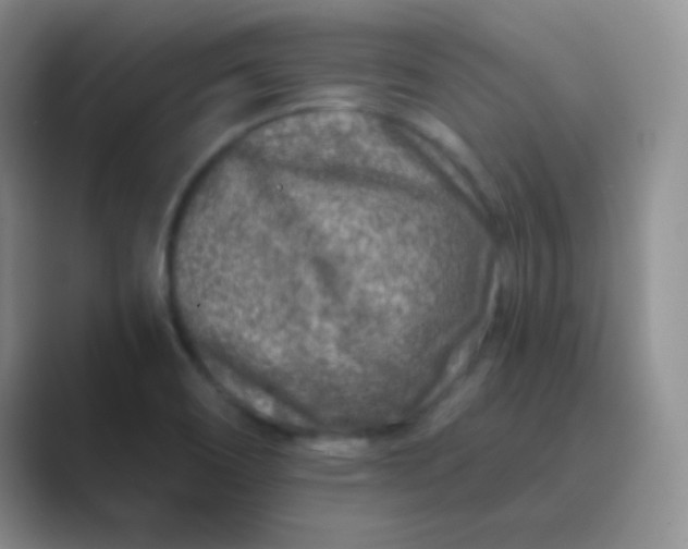 X0000089711466200707051653