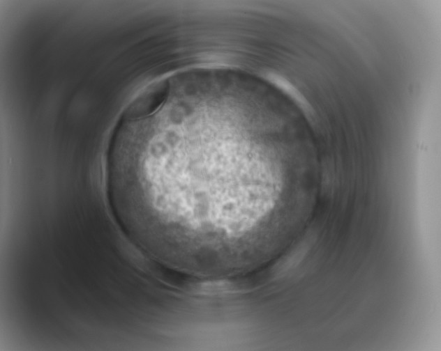 X0000089711467200707051653