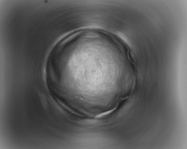 X0000089711468200707051653