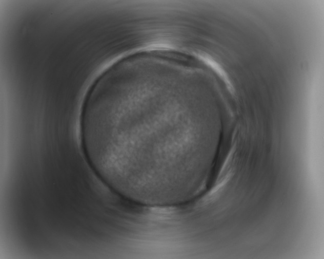 X0000089711469200707051653