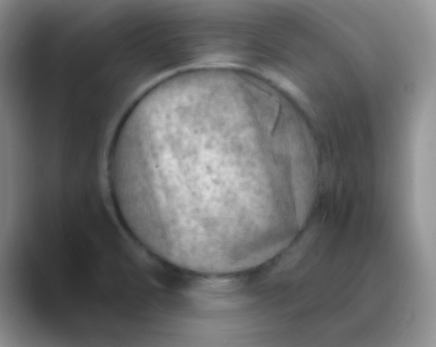 X0000089711470200707051653