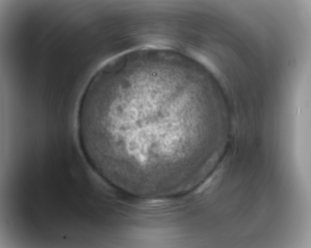 X0000089711471200707051653