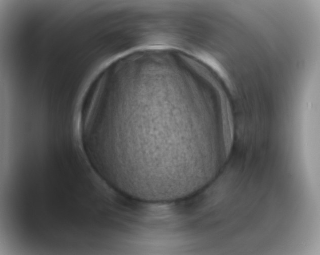 X0000089711472200707051653