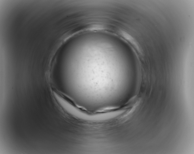 X0000089711473200707051653